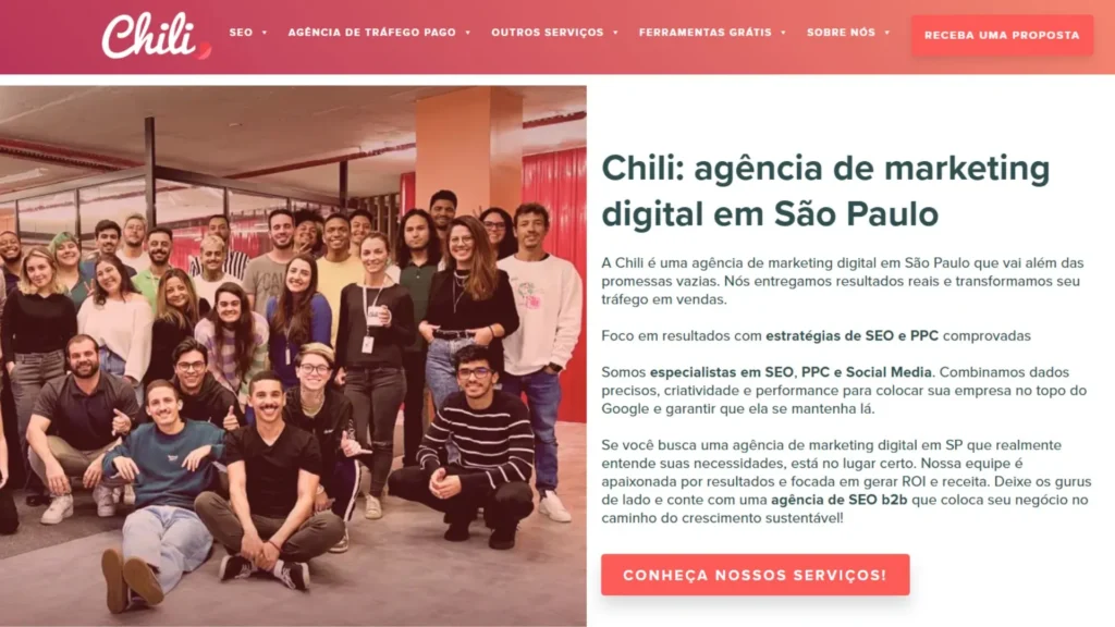 Agência De Seo Chili 
