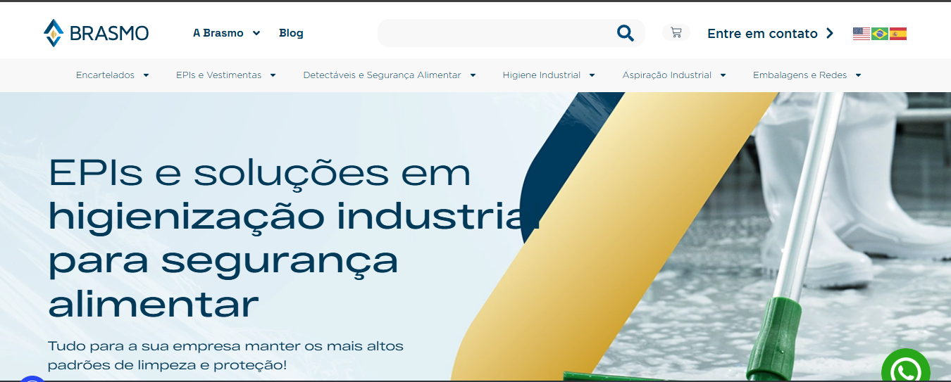 Print Do Site Da Brasmo